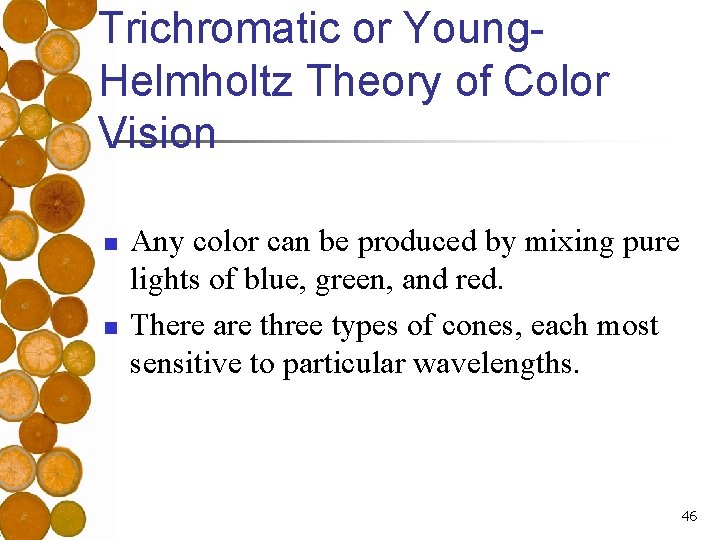 Trichromatic or Young. Helmholtz Theory of Color Vision n n Any color can be