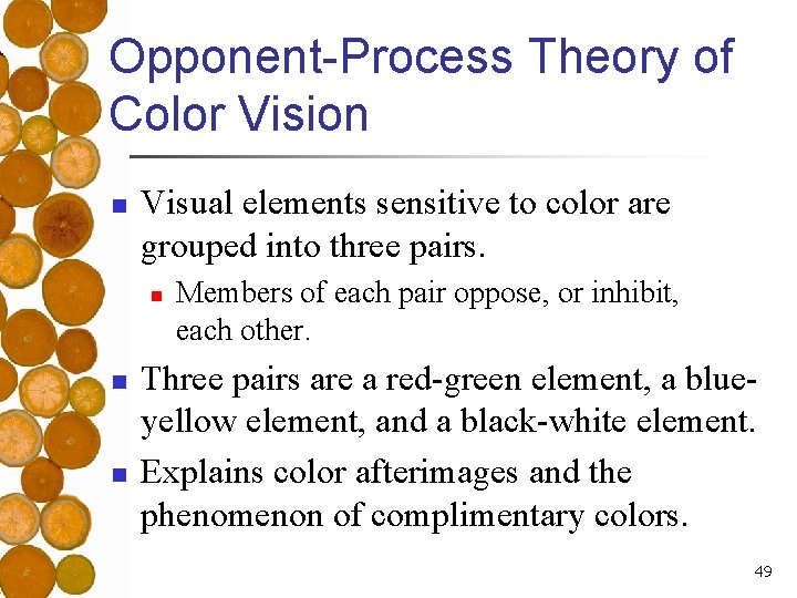 Opponent-Process Theory of Color Vision n Visual elements sensitive to color are grouped into