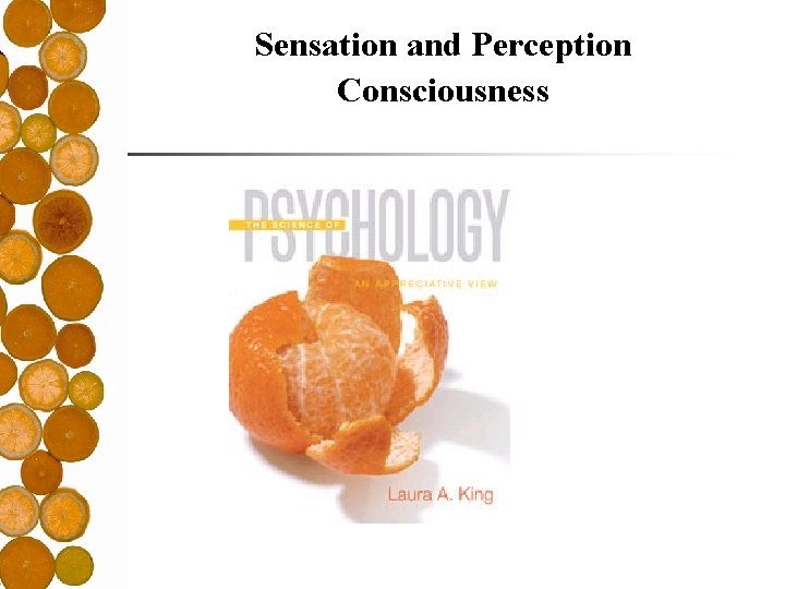 Sensation and Perception Consciousness 