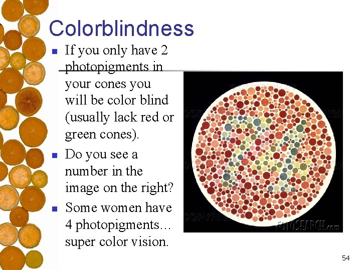 Colorblindness n n n If you only have 2 photopigments in your cones you