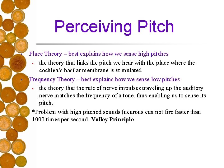 Perceiving Pitch § § Place Theory – best explains how we sense high pitches