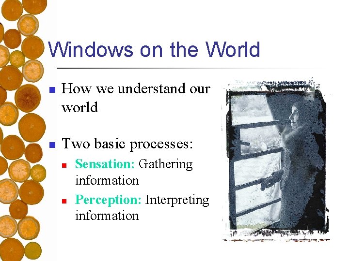 Windows on the World n n How we understand our world Two basic processes: