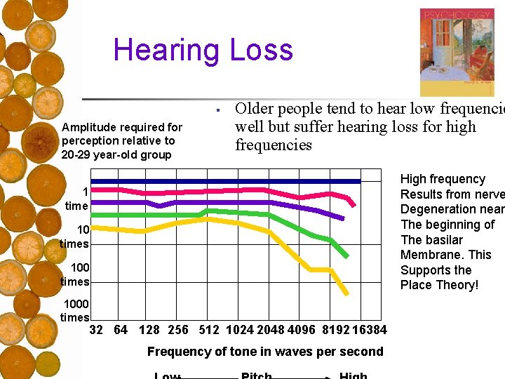 Hearing Loss § Amplitude required for perception relative to 20 -29 year-old group Older