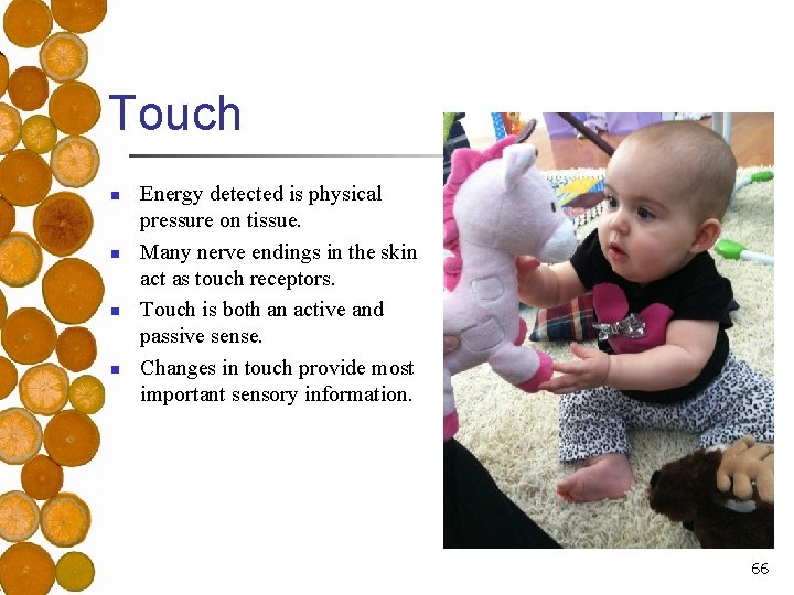 Touch n n Energy detected is physical pressure on tissue. Many nerve endings in