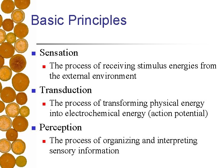 Basic Principles n Sensation n n Transduction n n The process of receiving stimulus