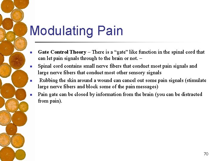 Modulating Pain n n Gate Control Theory – There is a “gate” like function