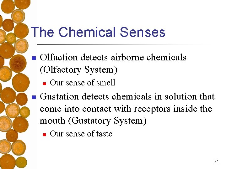 The Chemical Senses n Olfaction detects airborne chemicals (Olfactory System) n n Our sense