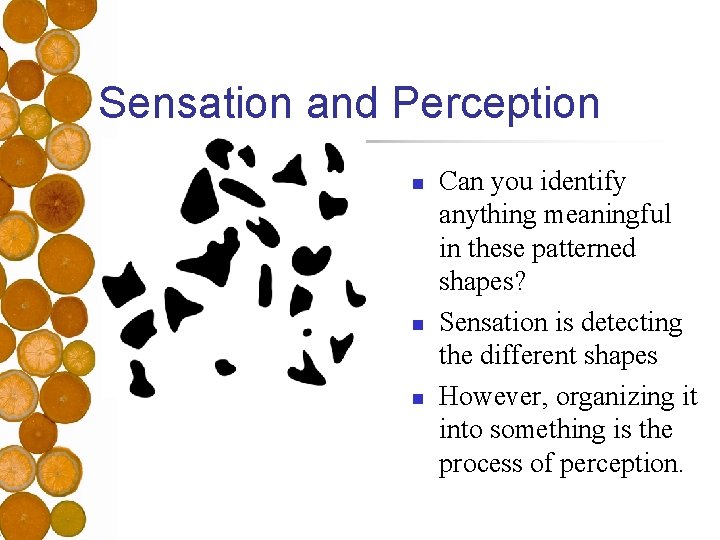 Sensation and Perception n Can you identify anything meaningful in these patterned shapes? Sensation