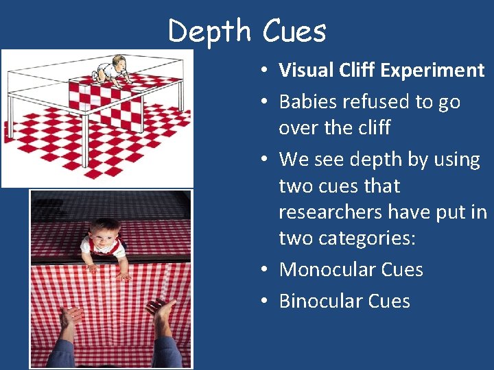 Depth Cues • Visual Cliff Experiment • Babies refused to go over the cliff