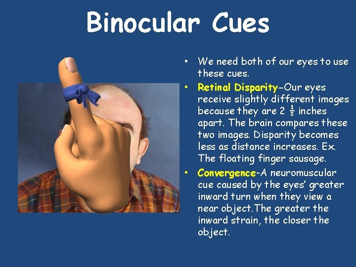 Binocular Cues • We need both of our eyes to use these cues. •