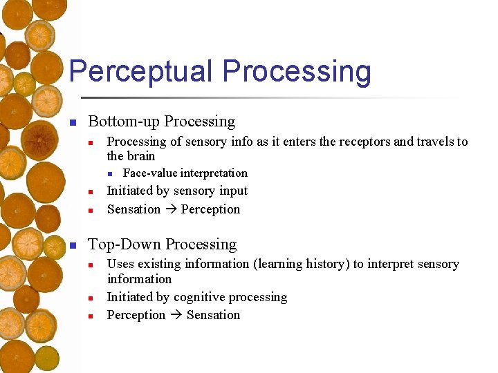 Perceptual Processing n Bottom-up Processing n Processing of sensory info as it enters the