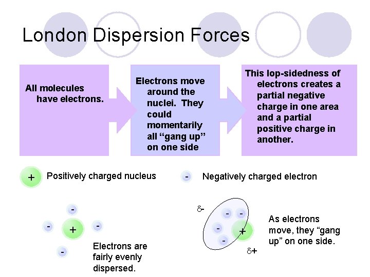 London Dispersion Forces All molecules have electrons. + Positively charged nucleus + - -