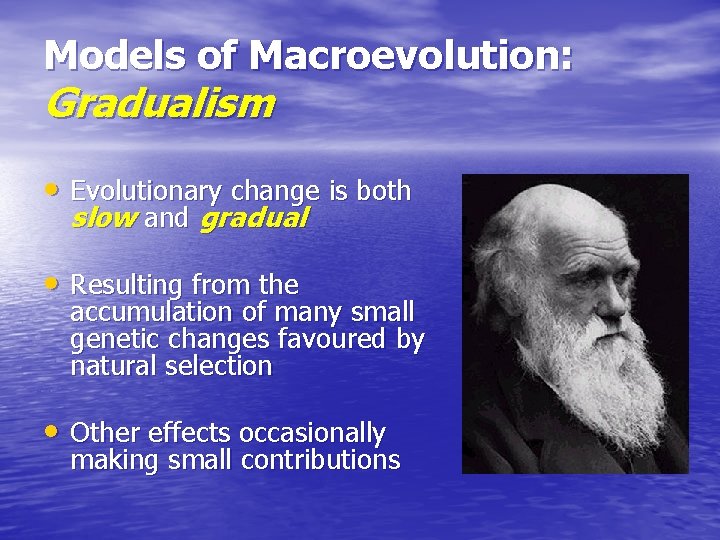 Models of Macroevolution: Gradualism • Evolutionary change is both slow and gradual • Resulting