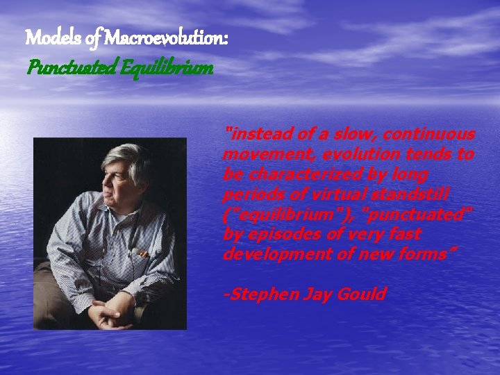 Models of Macroevolution: Punctuated Equilibrium “instead of a slow, continuous movement, evolution tends to