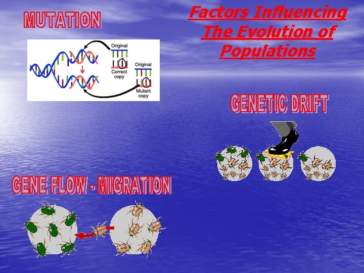 Factors Influencing The Evolution of Populations 