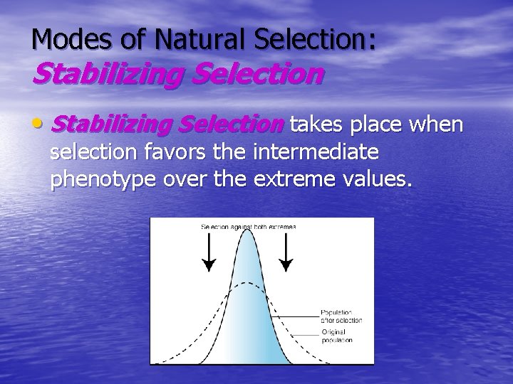 Modes of Natural Selection: Stabilizing Selection • Stabilizing Selection takes place when selection favors