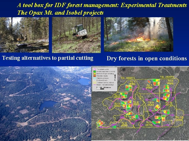 A tool box for IDF forest management: Experimental Treatments The Opax Mt. and Isobel