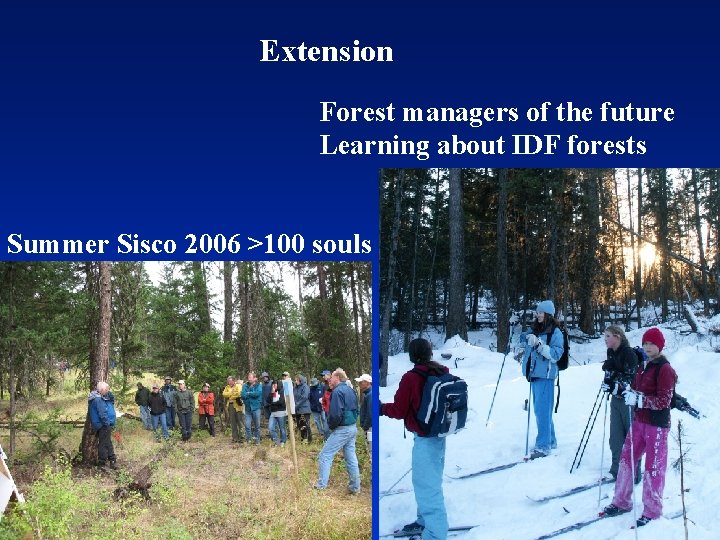 Extension Forest managers of the future Learning about IDF forests Summer Sisco 2006 >100