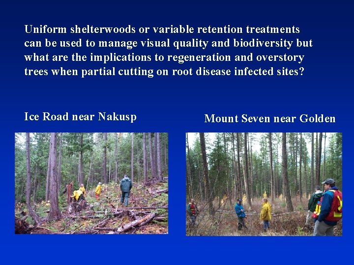 Uniform shelterwoods or variable retention treatments can be used to manage visual quality and