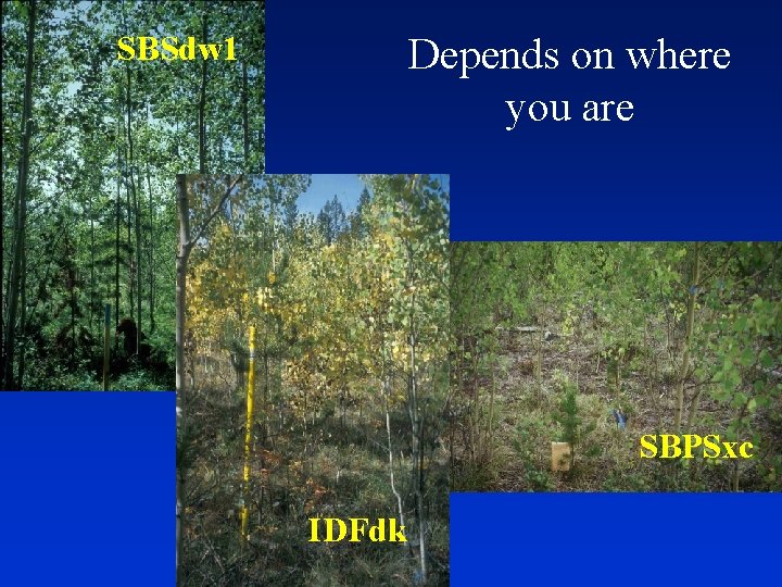 SBSdw 1 Depends on where you are SBPSxc IDFdk 