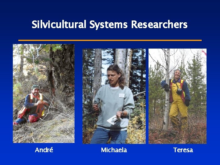 Silvicultural Systems Researchers André Michaela Teresa 