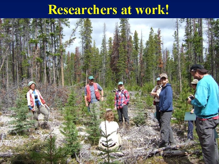 Researchers at work! 