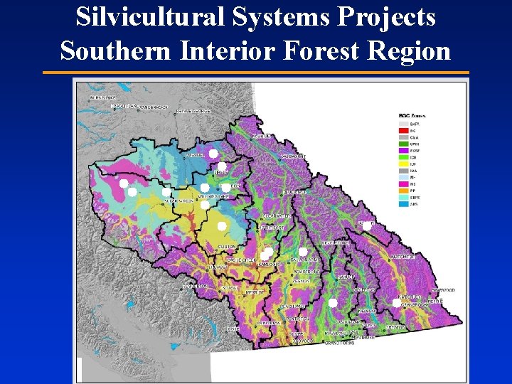 Silvicultural Systems Projects Southern Interior Forest Region 