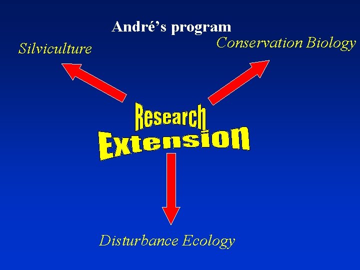Silviculture André’s program Conservation Biology Disturbance Ecology 