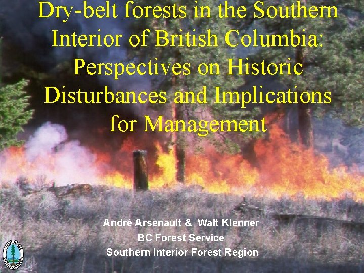 Dry-belt forests in the Southern Interior of British Columbia: Perspectives on Historic Disturbances and
