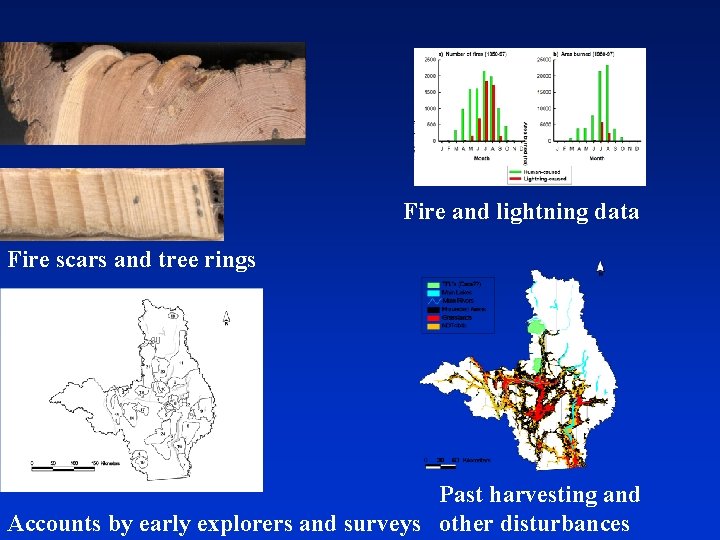 Fire and lightning data Fire scars and tree rings Past harvesting and Accounts by