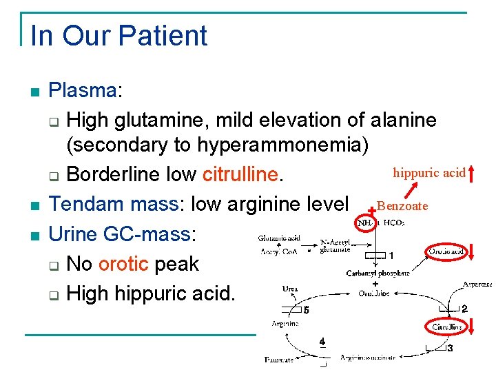 In Our Patient n n n Plasma: q High glutamine, mild elevation of alanine