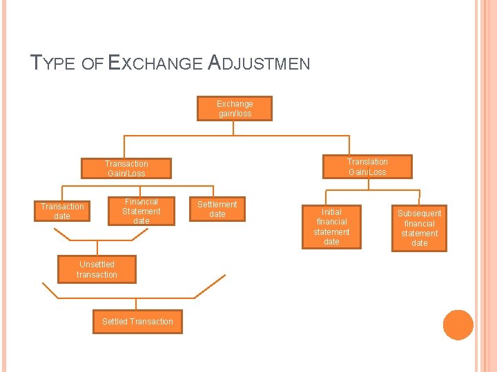 TYPE OF EXCHANGE ADJUSTMEN Exchange gain/loss Translation Gain/Loss Transaction Gain/Loss Financial Statement date Transaction