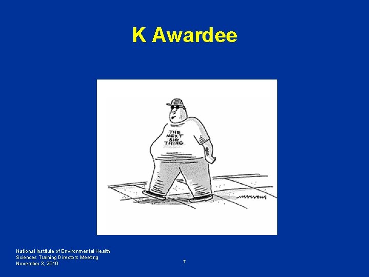 K Awardee National Institute of Environmental Health Sciences Training Directors Meeting November 3, 2010