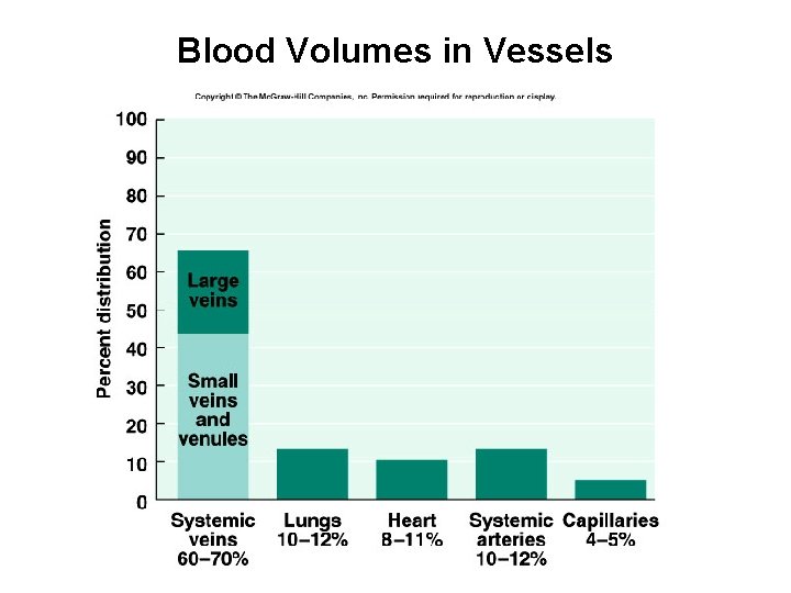 Blood Volumes in Vessels 
