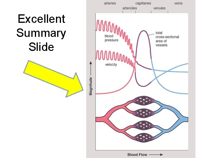Excellent Summary Slide 