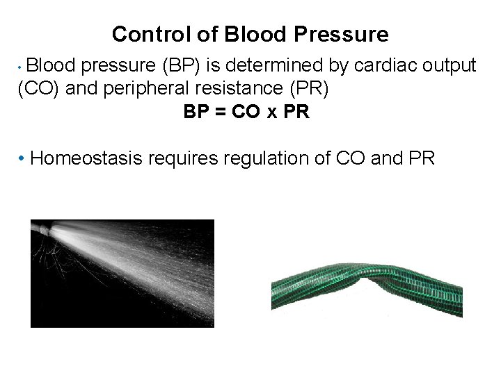 Control of Blood Pressure • Blood pressure (BP) is determined by cardiac output (CO)