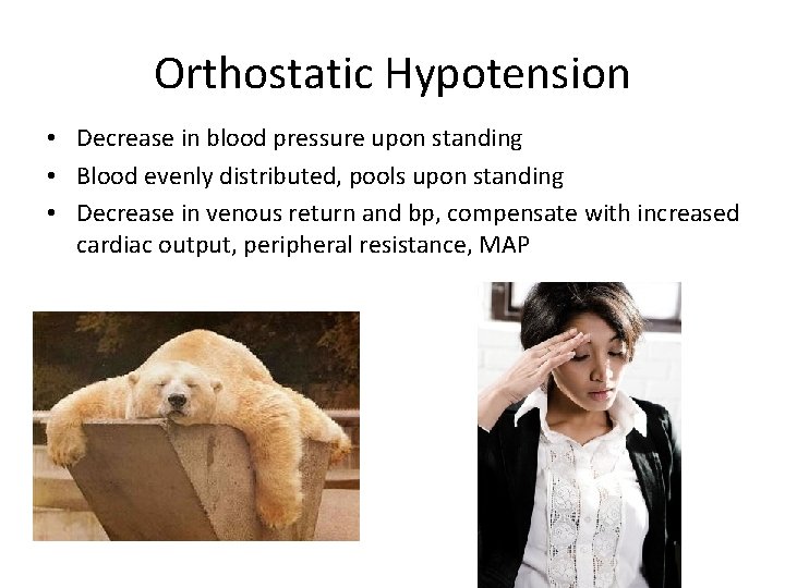 Orthostatic Hypotension • Decrease in blood pressure upon standing • Blood evenly distributed, pools