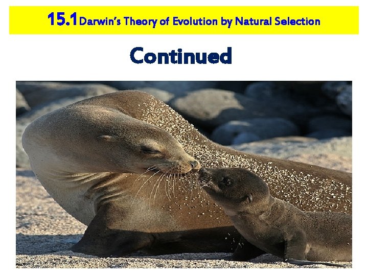 15. 1 Darwin’s Theory of Evolution by Natural Selection Continued 