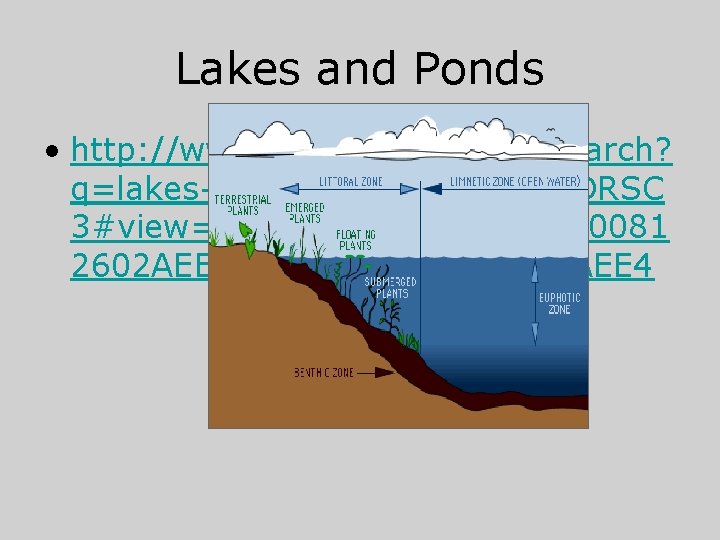Lakes and Ponds • http: //www. bing. com/videos/search? q=lakes+and+ponds&FORM=HDRSC 3#view=detail&mid=A 8 C 9 DDEE