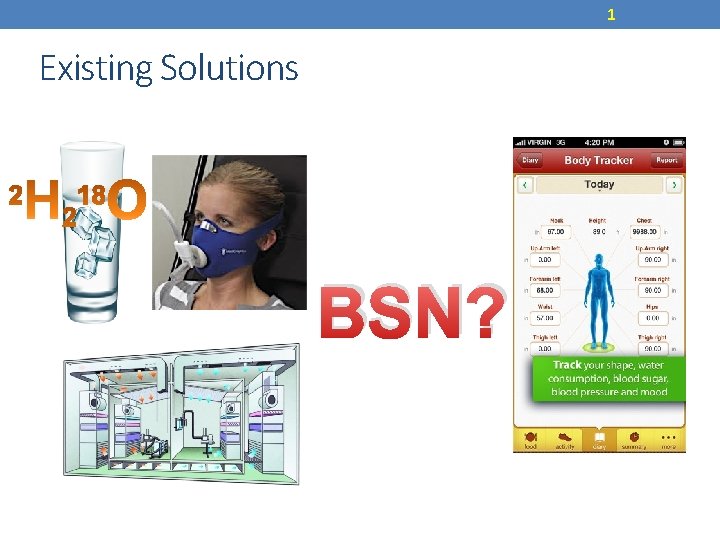 1 Existing Solutions BSN? 