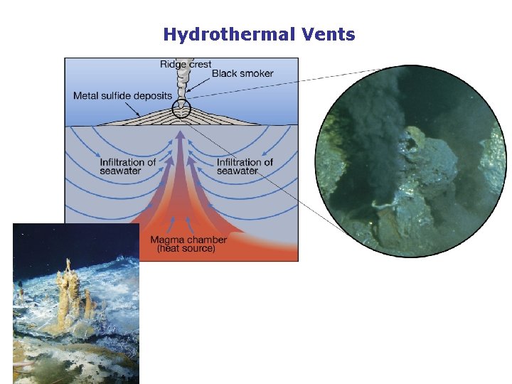 Hydrothermal Vents 