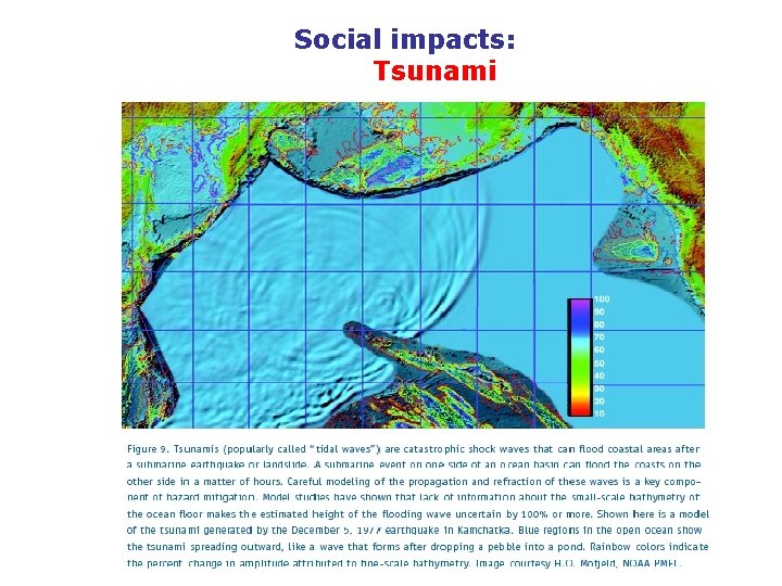 Social impacts: Tsunami 