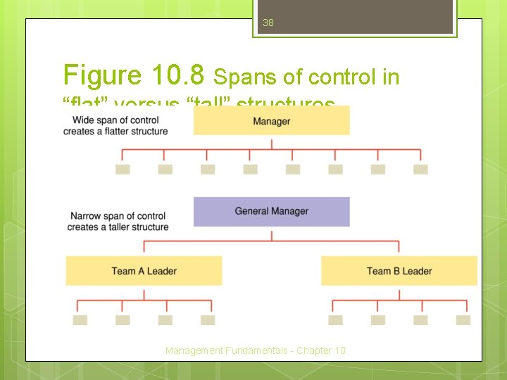 38 Figure 10. 8 Spans of control in “flat” versus “tall” structures. Management Fundamentals