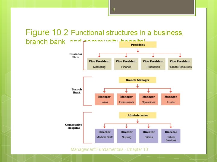 9 Figure 10. 2 Functional structures in a business, branch bank, and community hospital.