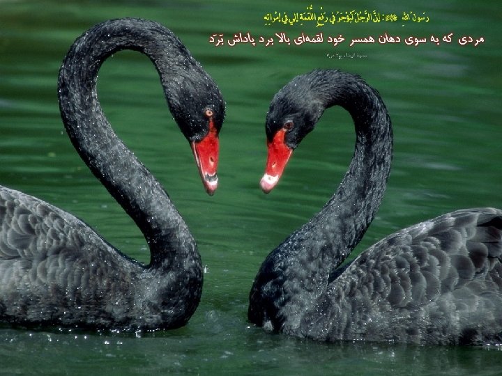 940701. . . 56 slides http: \academicstaff. kmu. ac. iraliasadipour 36 