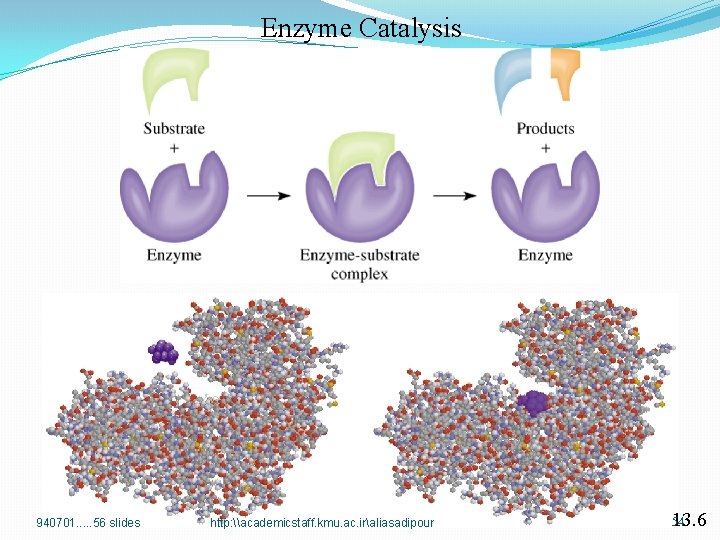 Enzyme Catalysis 940701. . . 56 slides http: \academicstaff. kmu. ac. iraliasadipour 13. 6