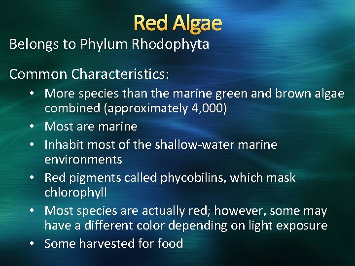 Red Algae Belongs to Phylum Rhodophyta Common Characteristics: • More species than the marine