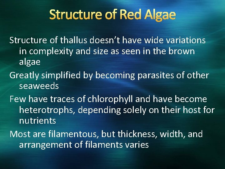 Structure of Red Algae Structure of thallus doesn’t have wide variations in complexity and