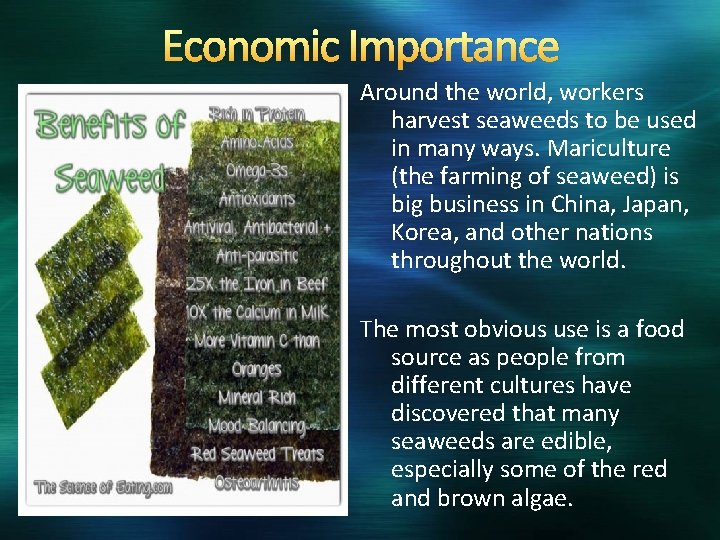 Economic Importance Around the world, workers harvest seaweeds to be used in many ways.