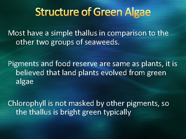Structure of Green Algae Most have a simple thallus in comparison to the other